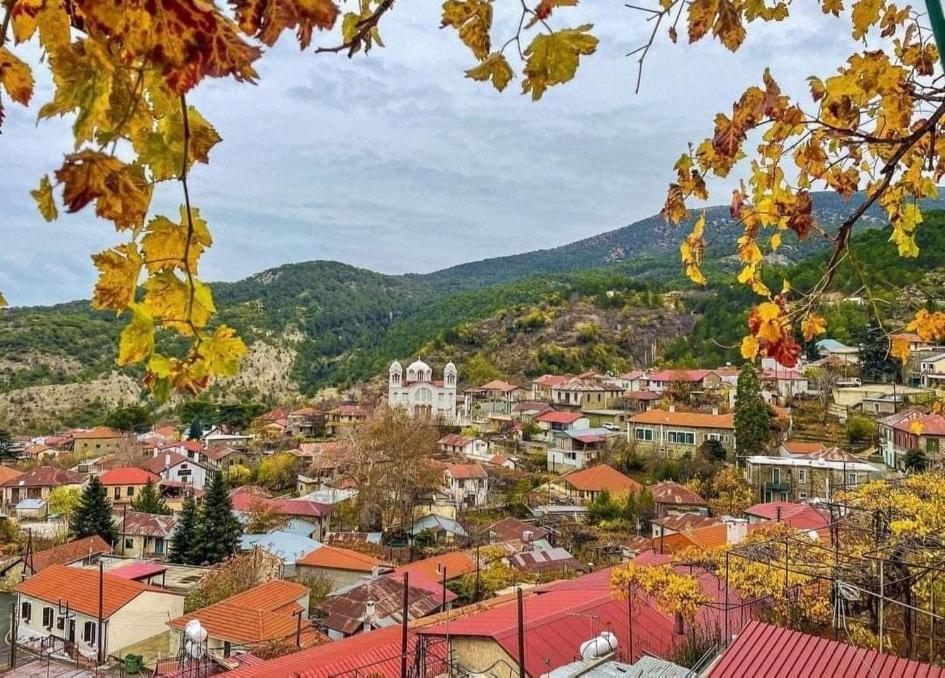Capuralli Hotel Pedhoulas Esterno foto